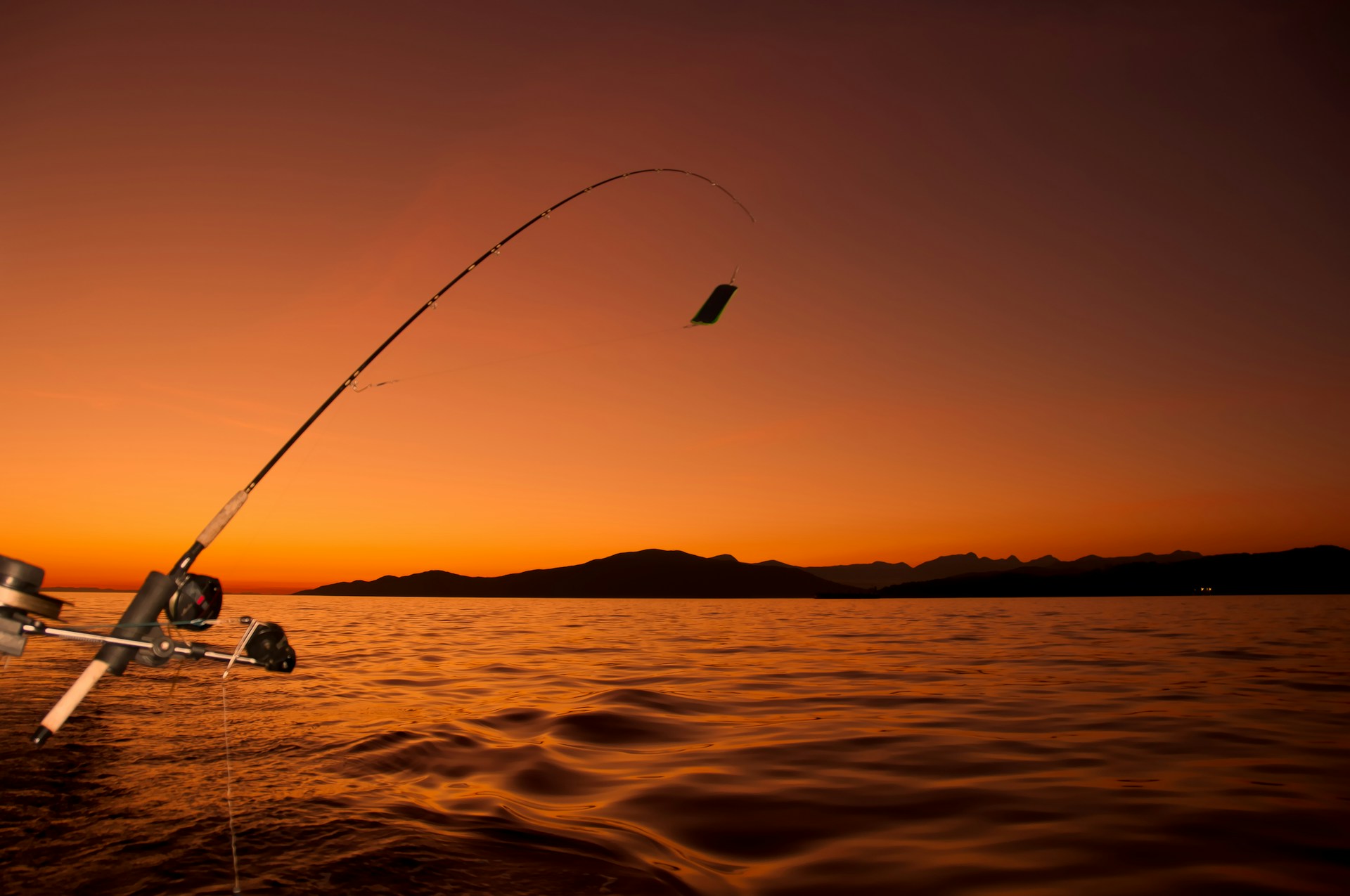 Fishing Gear 101: A Beginner’s Guide to Essential Equipment